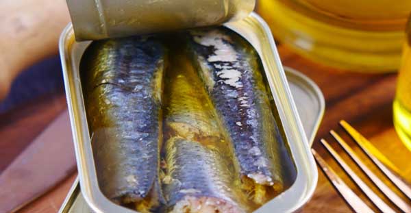 Can Dogs Eat Canned Sardines In Oil