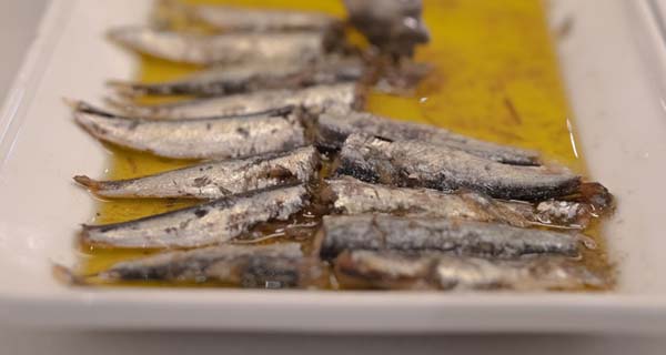 Can Dogs Have Sardines In Olive Oil