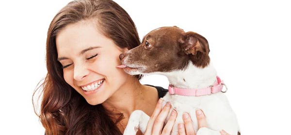 Why Does My Dog Nibble My Ear? [10 Surprising Reasons]
