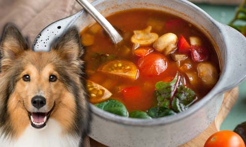 Can Dogs Eat Vegetable Broth? [Top Benefits + Top Risks]