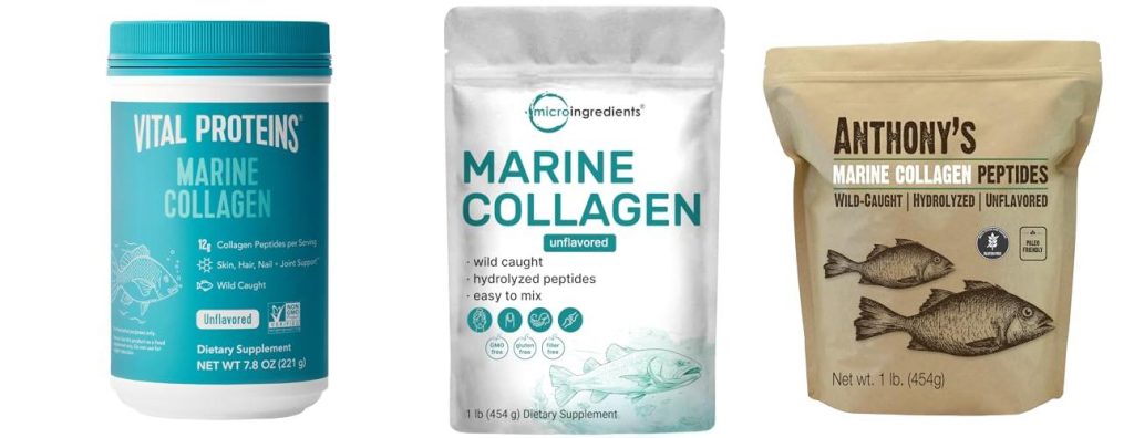 Top 5 Fish Protein Powders: Your Complete Buying Guide