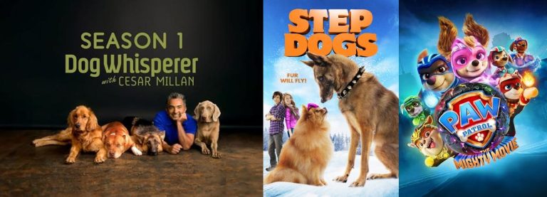 Top 5 Free Dog TV Channels: A Tail-Wagging Review & Guide